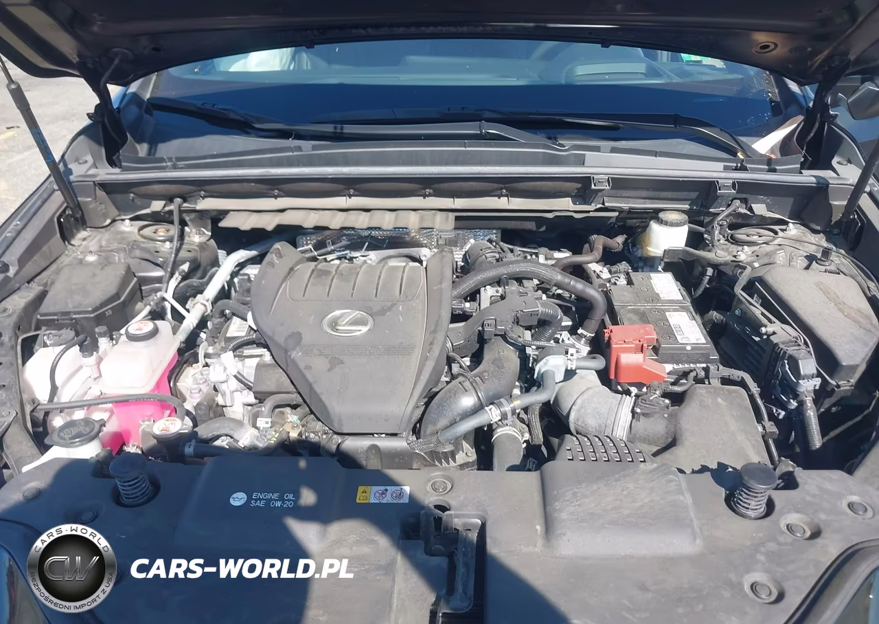 2022 Lexus Nx 350 F Sport Handling VIN:2T2KGCEZ4NC003442 - 10