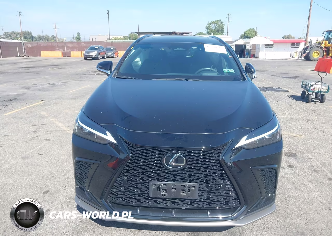 2022 Lexus Nx 350 F Sport Handling VIN:2T2KGCEZ4NC003442 - 12