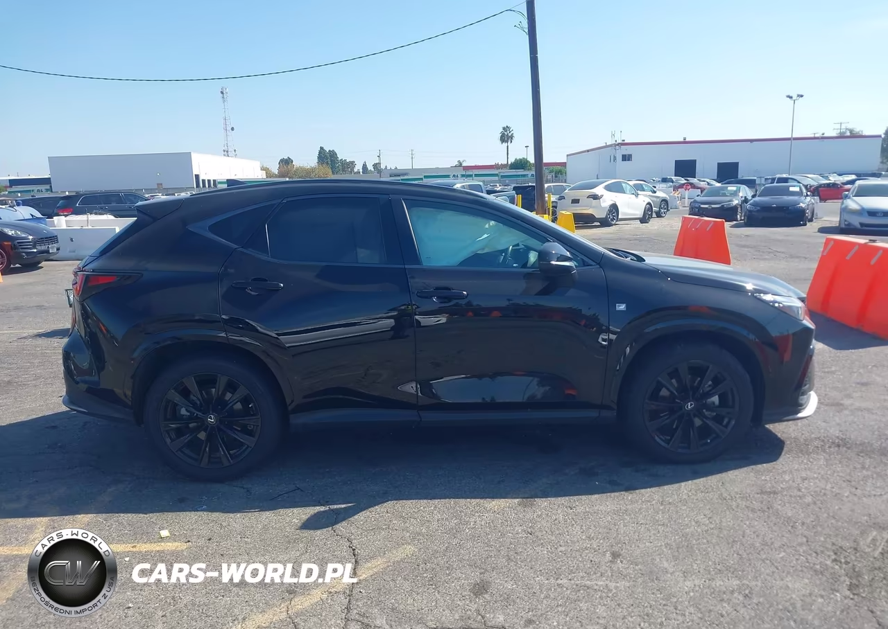 2022 Lexus Nx 350 F Sport Handling VIN:2T2KGCEZ4NC003442 - 13