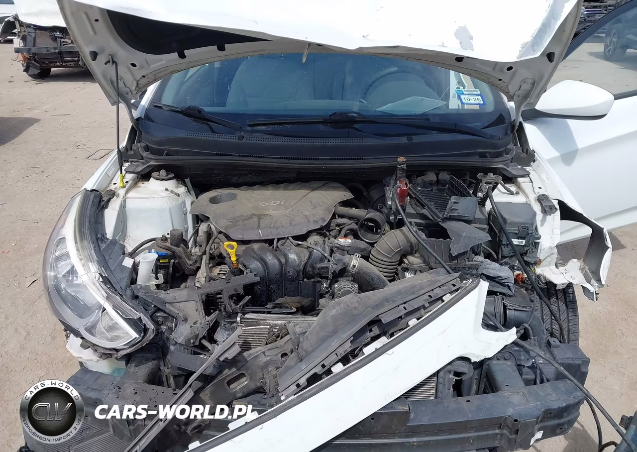 2016 Hyundai Accent Se VIN:KMHCT4AE5GU007868 - 10