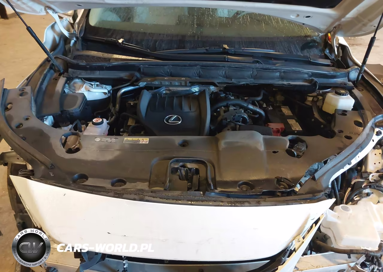 2024 Lexus Rx 350 Premium VIN:2T2BAMCA8RC039189 - 10
