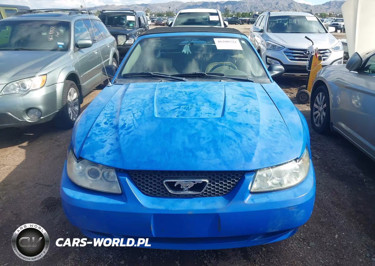 2003 Ford Mustang VIN:1FAFP44413F391306 - 6