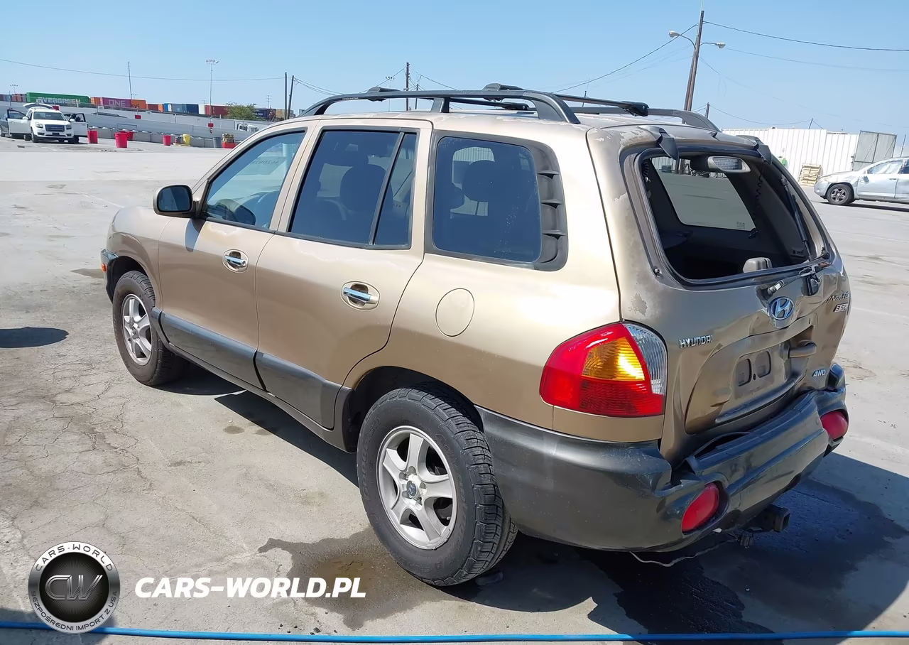 2003 Hyundai Santa Fe Gls-Lx VIN:KM8SC73E53U462787 - 3