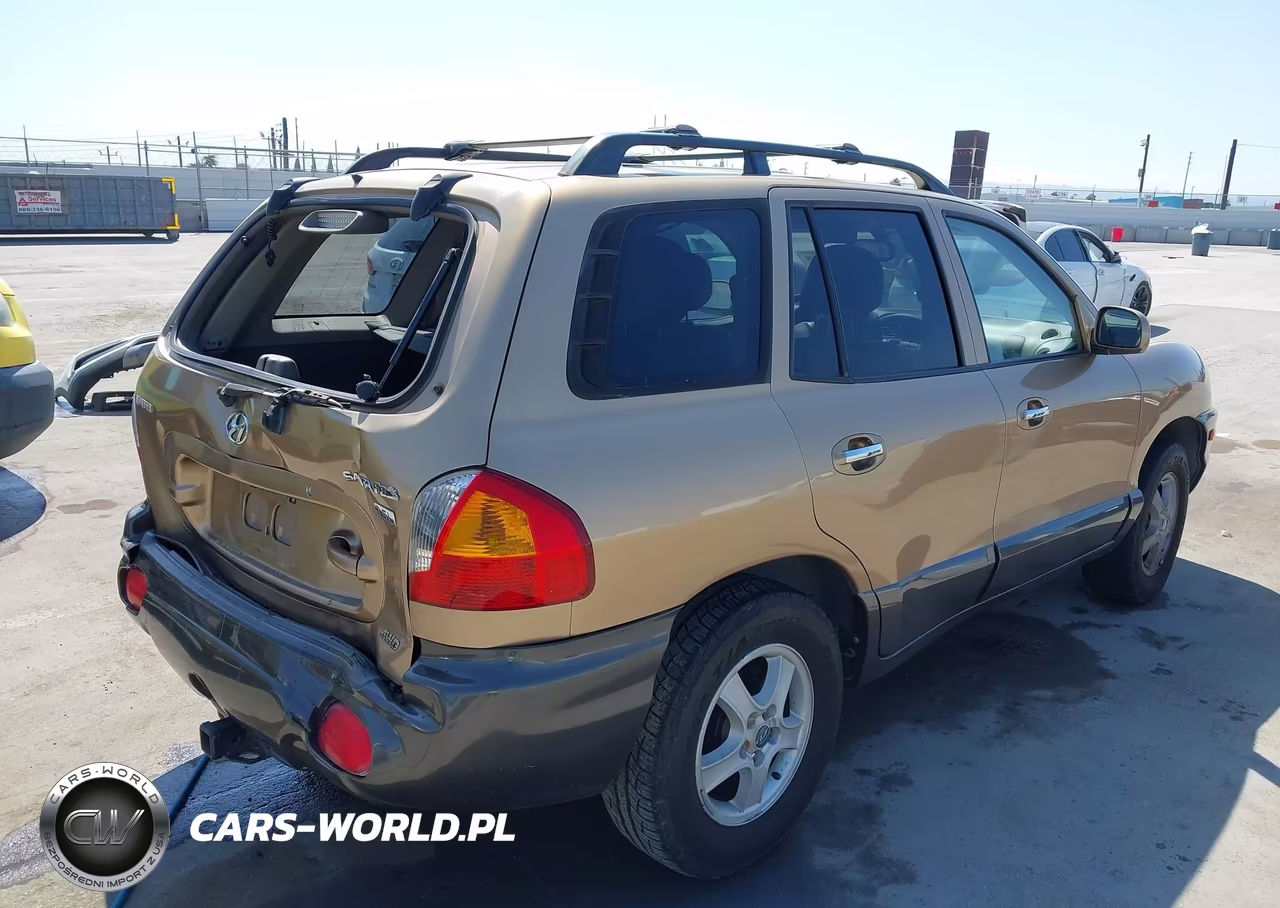 2003 Hyundai Santa Fe Gls-Lx VIN:KM8SC73E53U462787 - 4