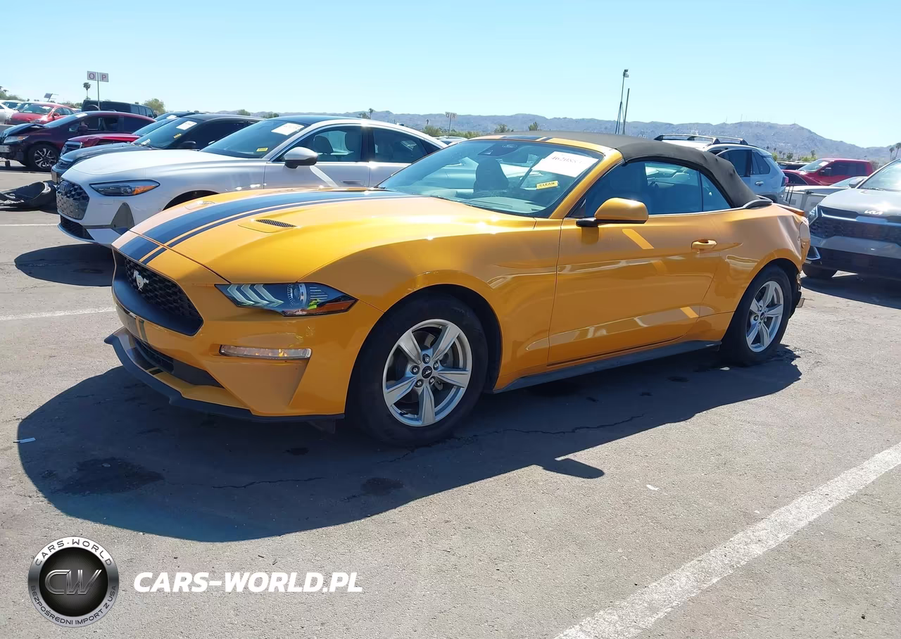 2022 Ford Mustang Ecoboost VIN:1FATP8UH4N5135537 - 2
