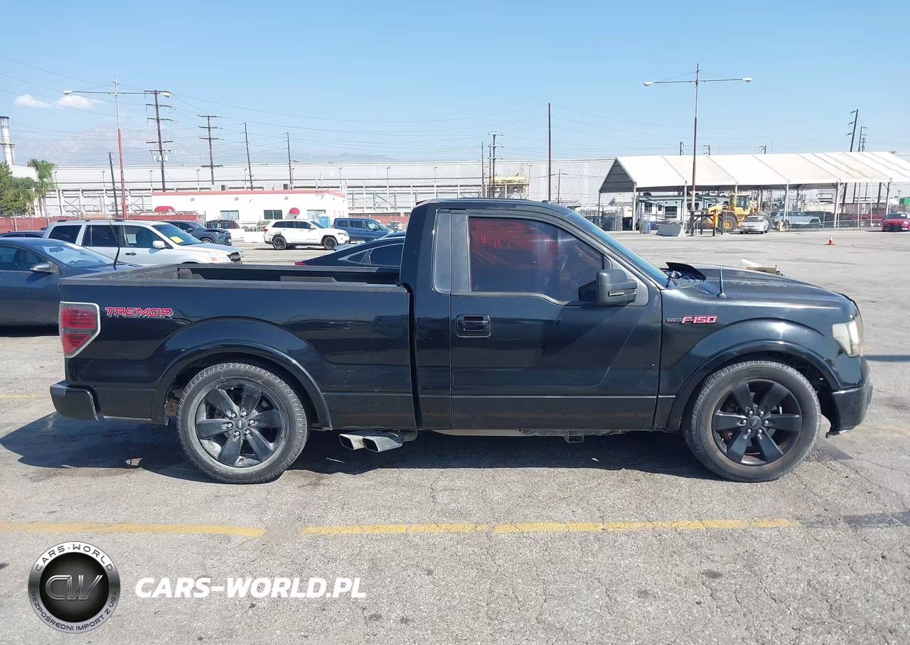 2014 Ford F-150 Fx2 Tremor VIN:1FTMF1CT5EFA13052 - 13