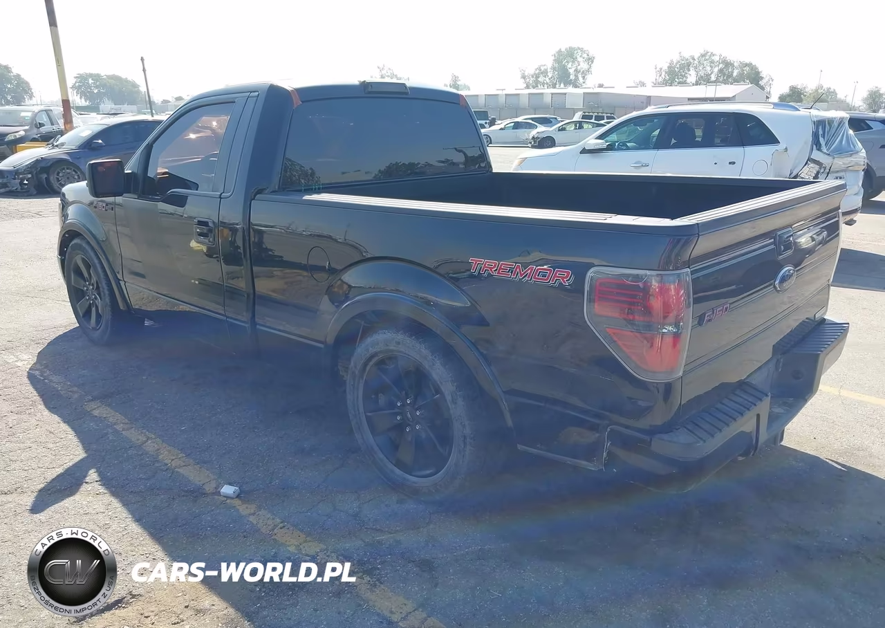2014 Ford F-150 Fx2 Tremor VIN:1FTMF1CT5EFA13052 - 3