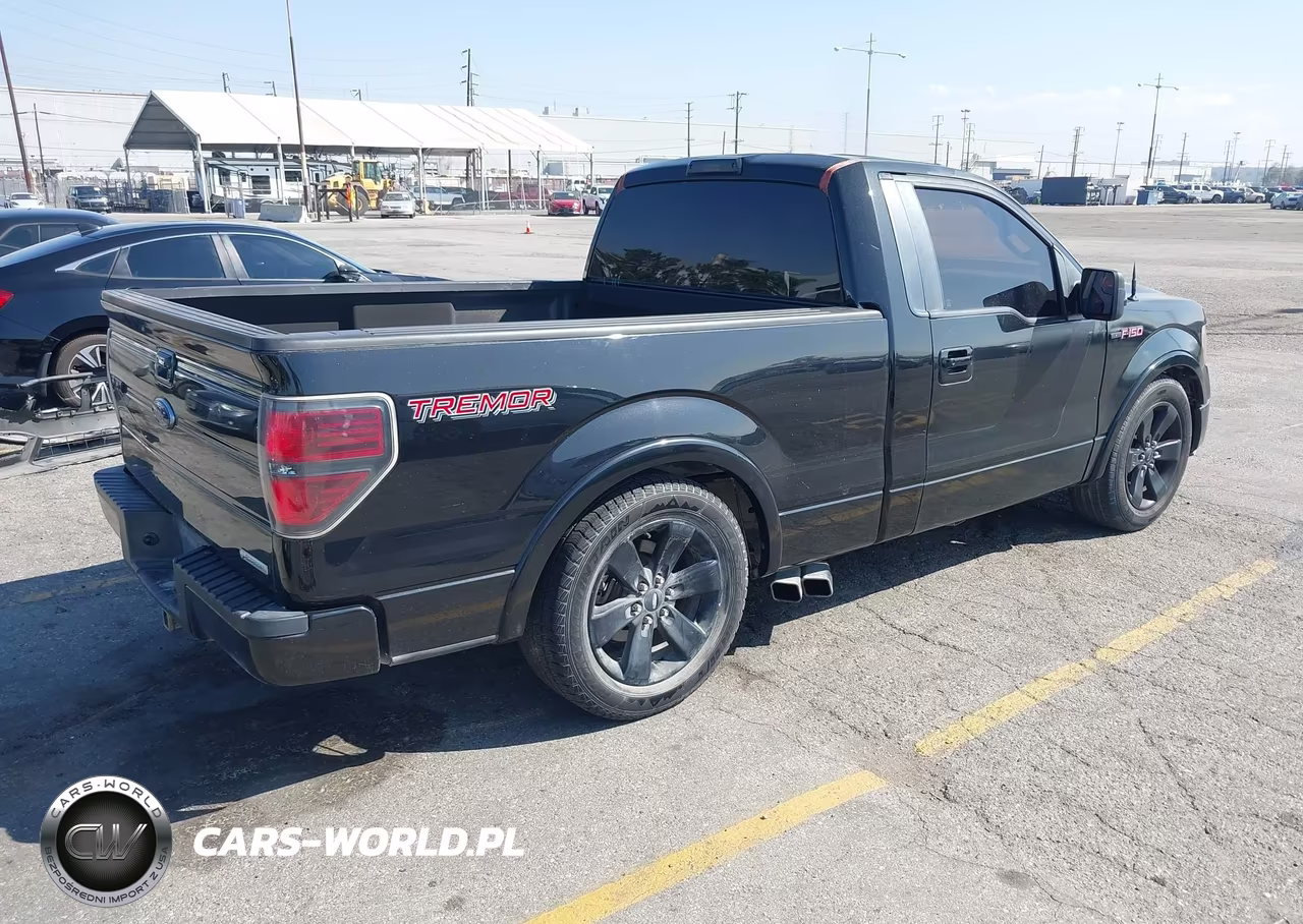 2014 Ford F-150 Fx2 Tremor VIN:1FTMF1CT5EFA13052 - 4