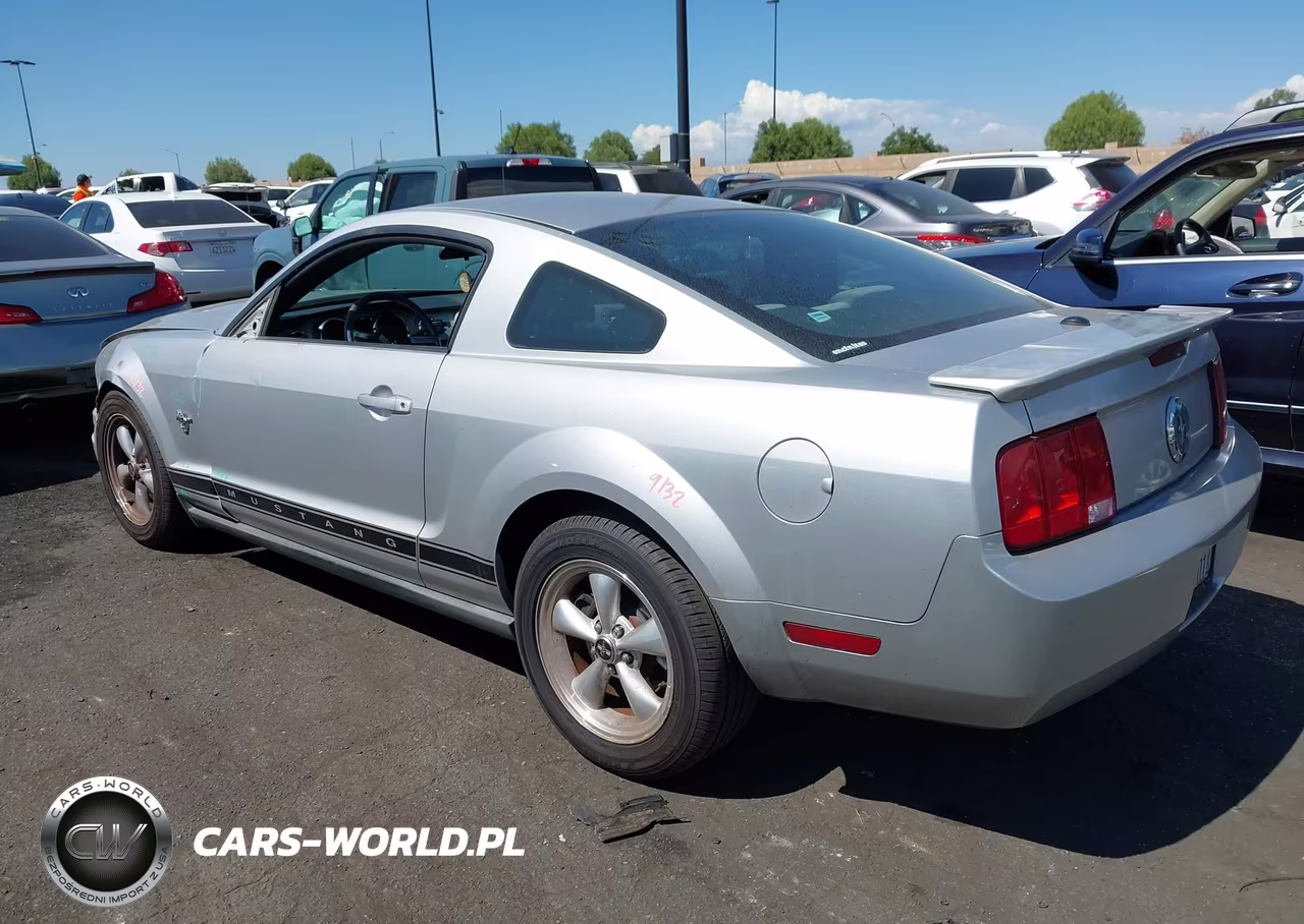 2009 Ford Mustang V6-V6 Premium VIN:1ZVHT80N695142371 - 3