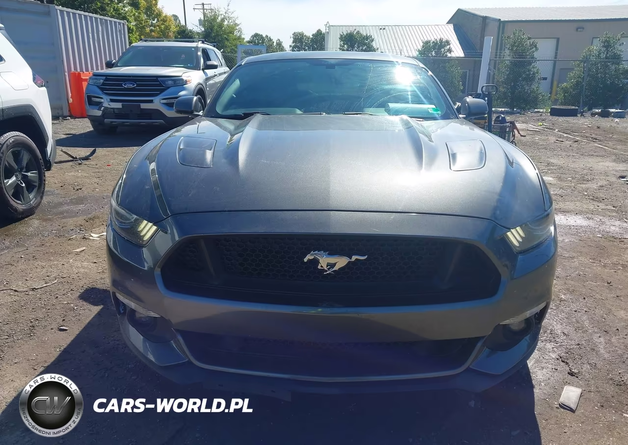 2017 Ford Mustang Gt Premium VIN:1FA6P8CF9H5351675 - 12