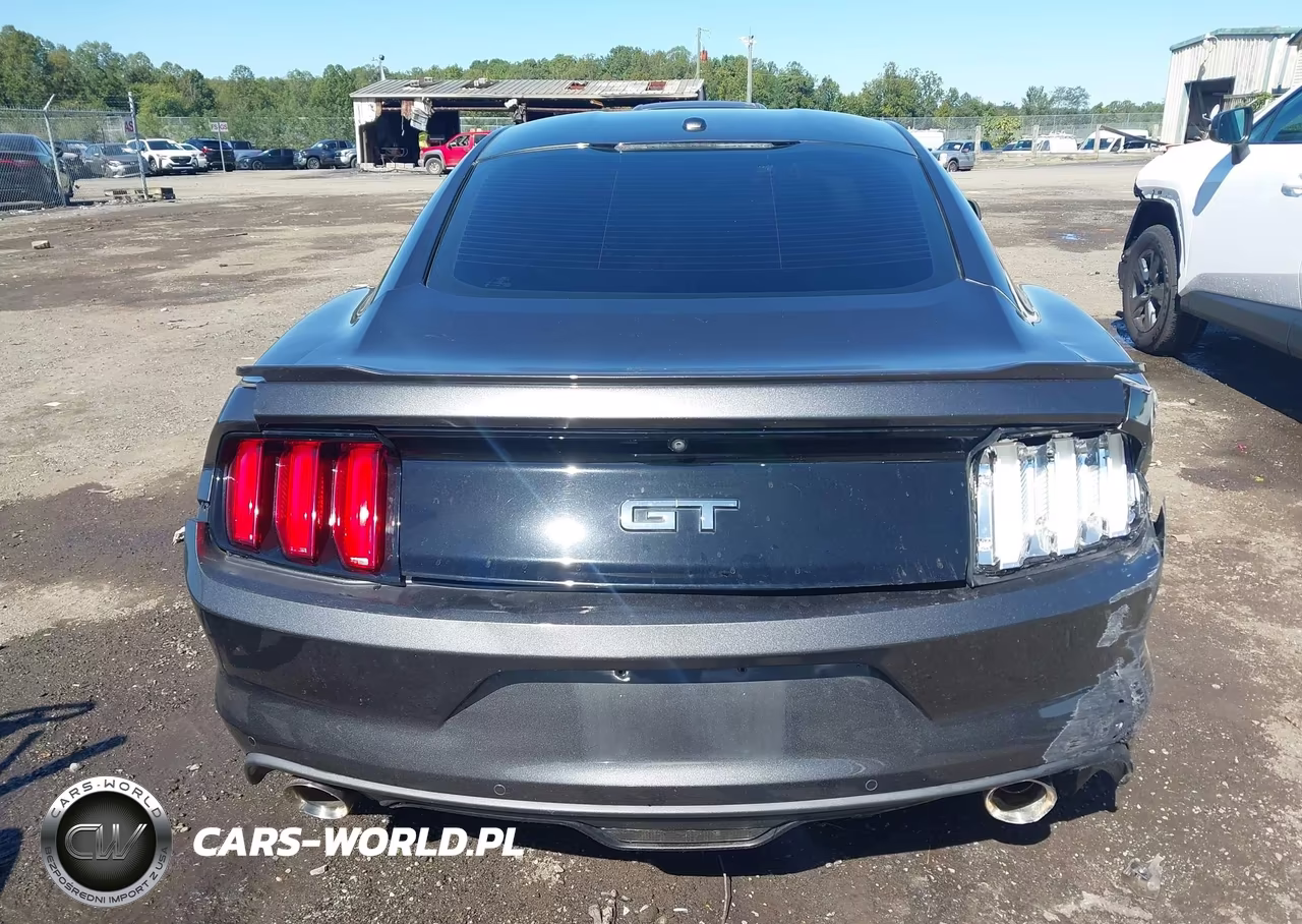 2017 Ford Mustang Gt Premium VIN:1FA6P8CF9H5351675 - 16