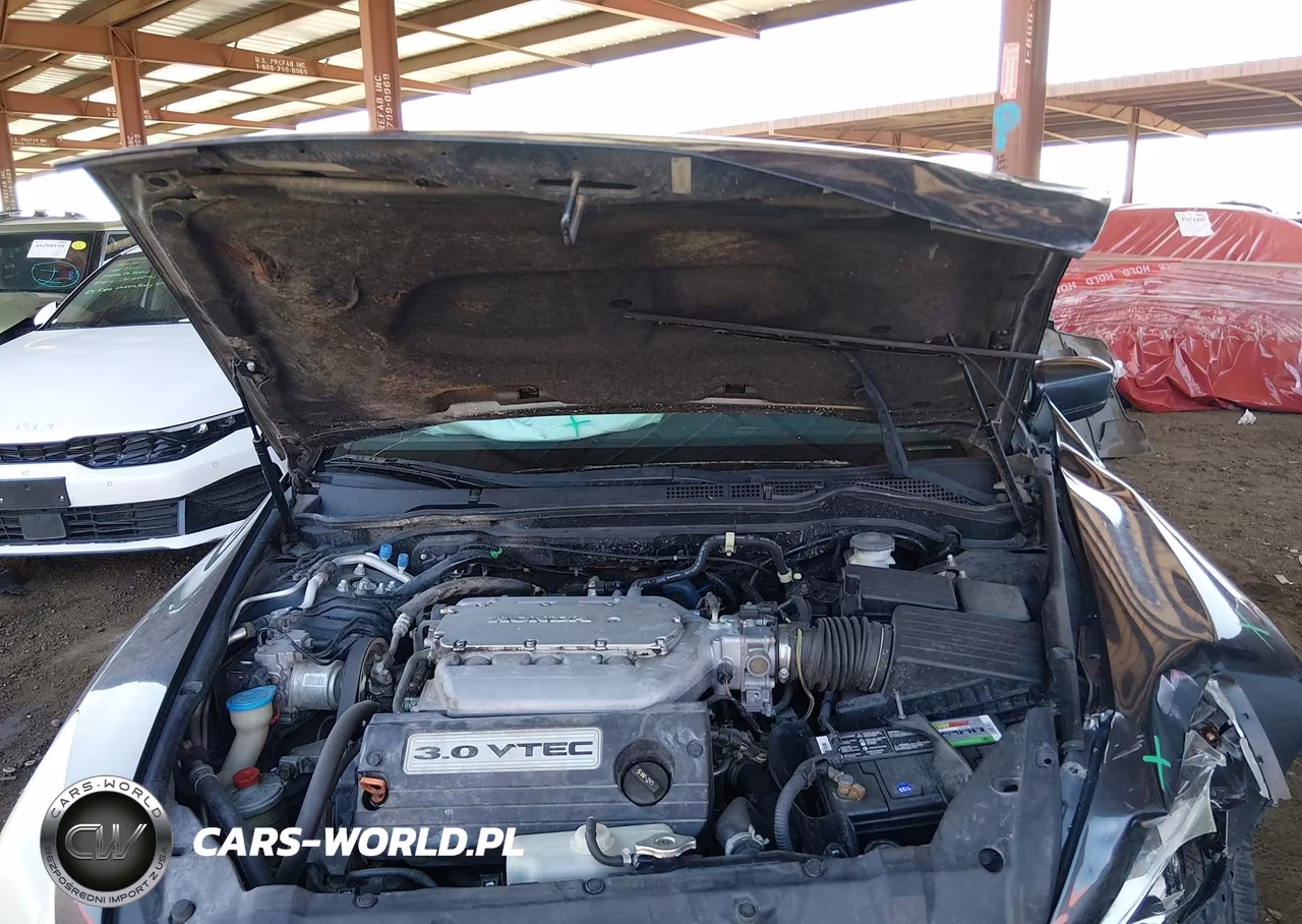 2004 Honda Accord 3.0 Ex VIN:1HGCM66584A028511 - 10