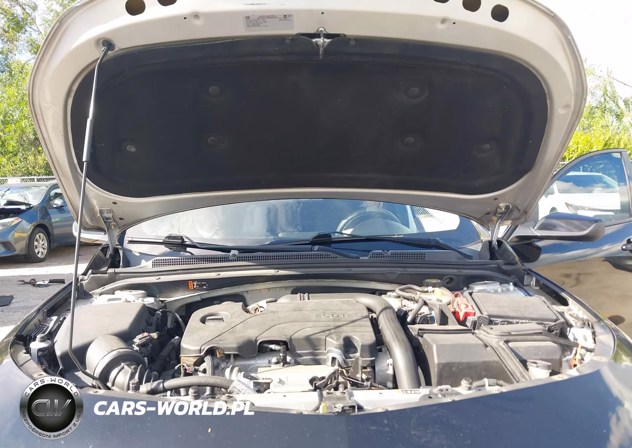 2019 Chevrolet Malibu Lt VIN:1G1ZD5ST4KF185923 - 10