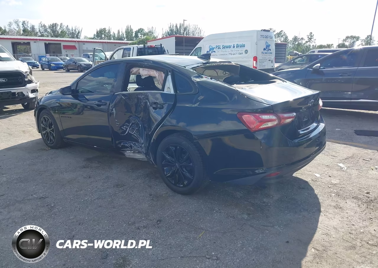 2019 Chevrolet Malibu Lt VIN:1G1ZD5ST4KF185923 - 3