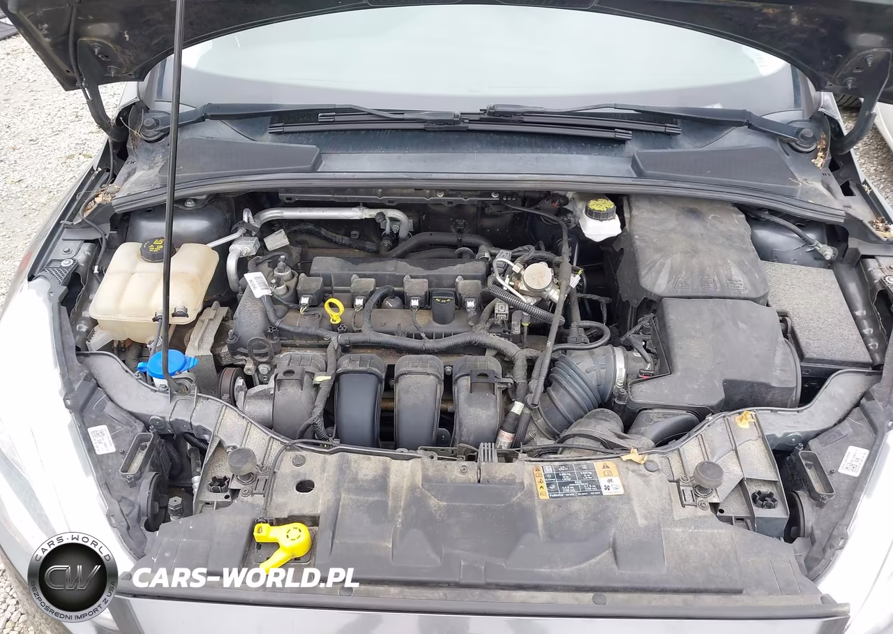 2018 Ford Focus Se VIN:1FADP3F26JL276860 - 10