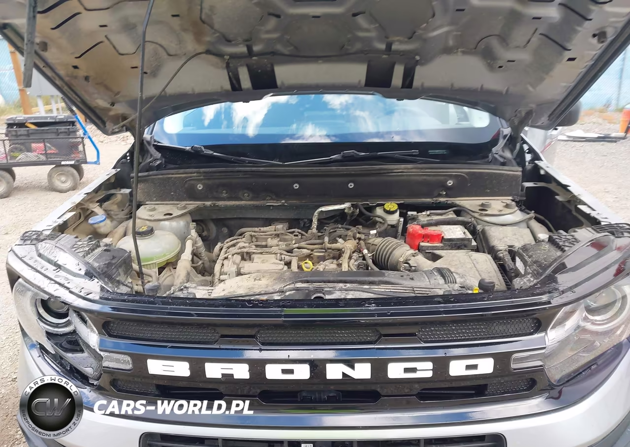 2021 Ford Bronco Sport Outer Banks VIN:3FMCR9C60MRB09714 - 10