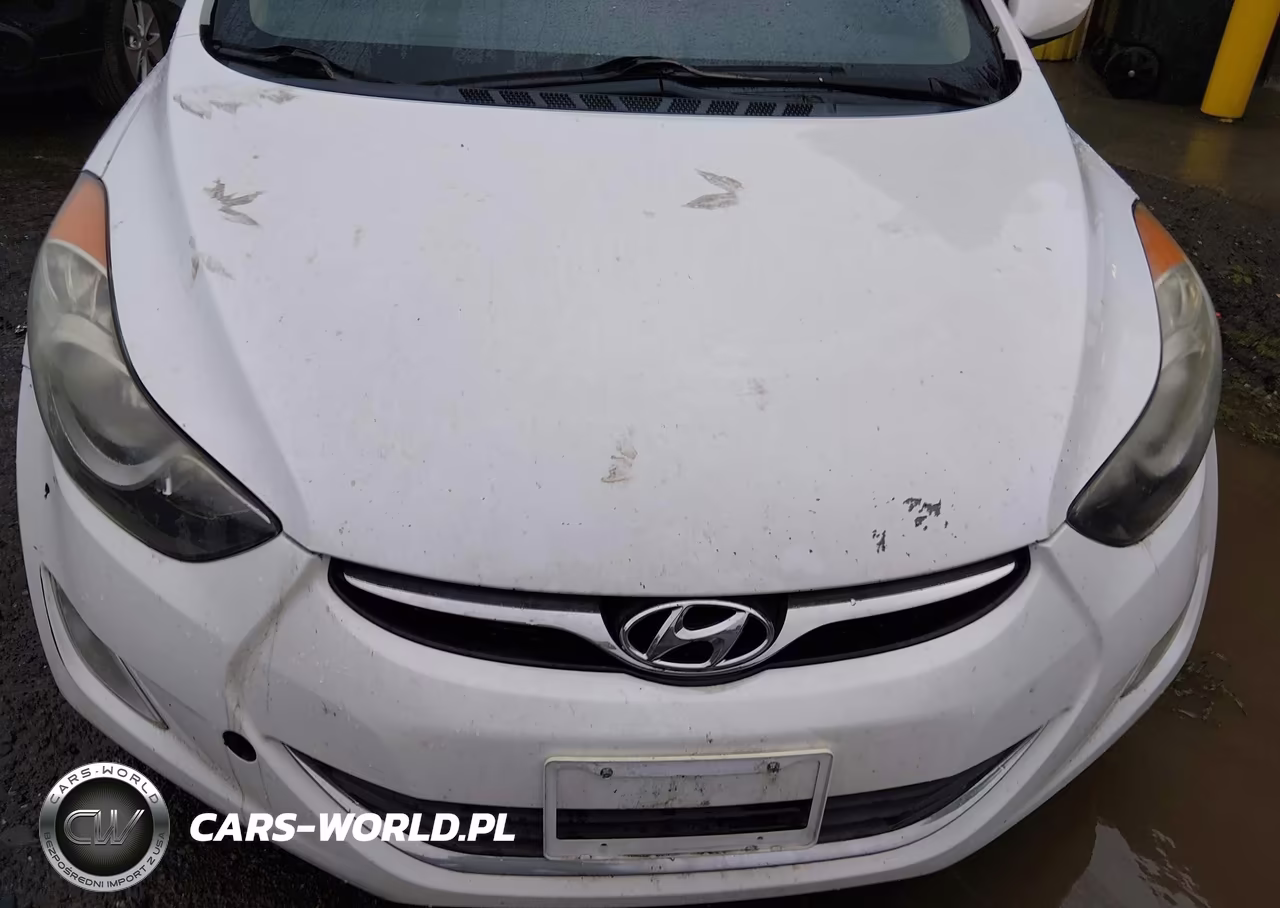 2013 Hyundai Elantra Gls VIN:5NPDH4AEXDH232903 - 16