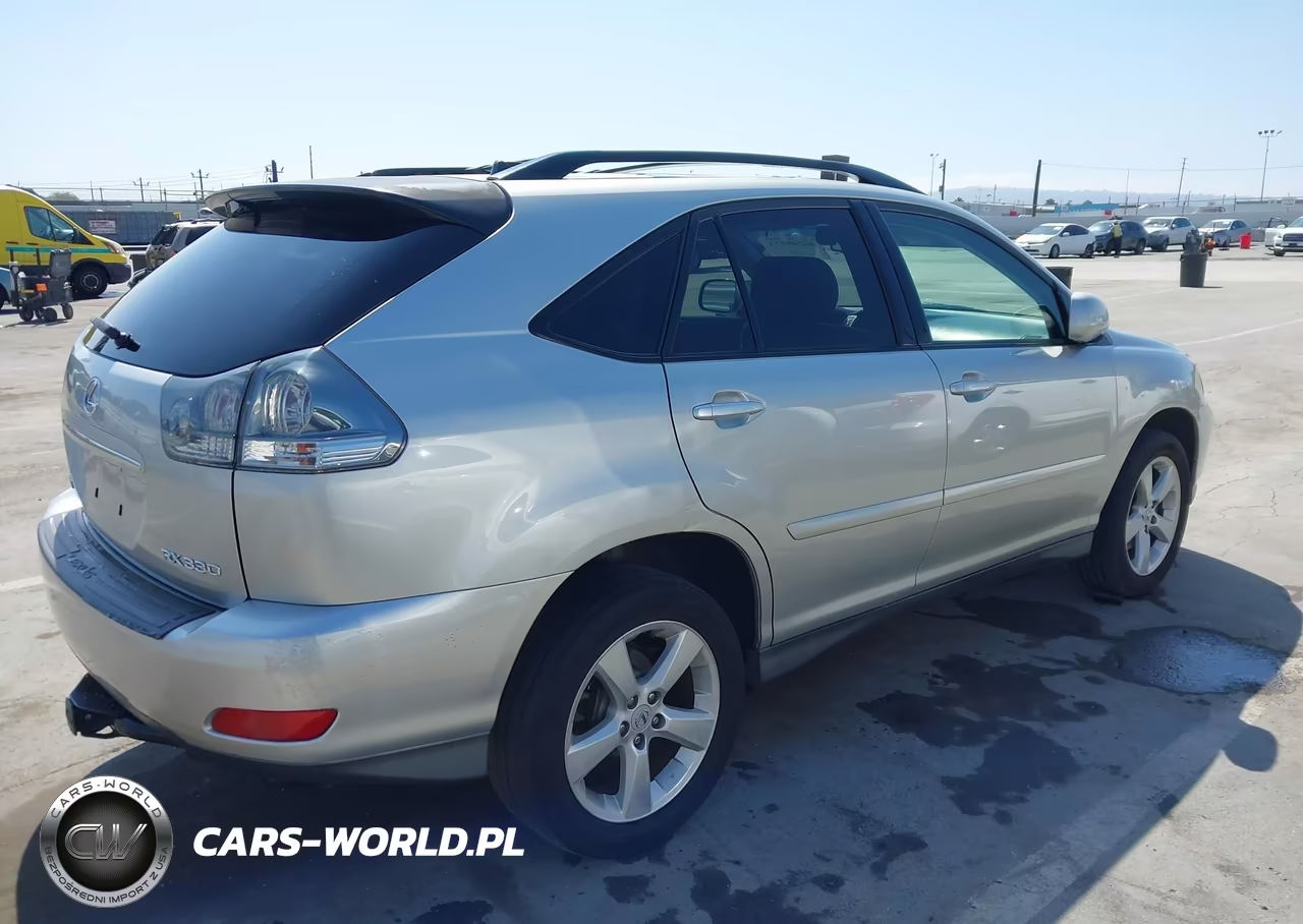 2004 Lexus Rx 330 VIN:JTJHA31U340061347 - 4