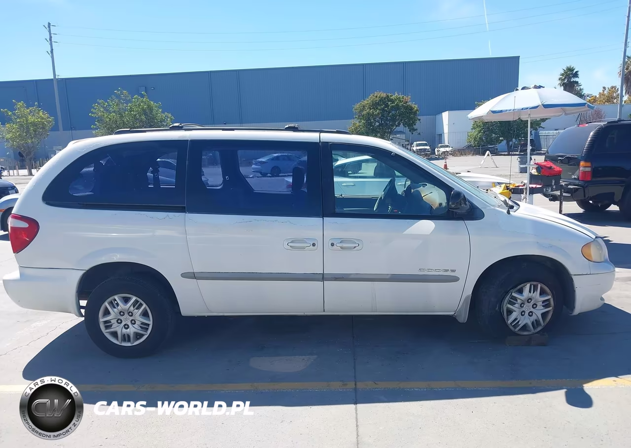 2001 Dodge Grand Caravan Sport VIN:1B4GP44351B163512 - 13
