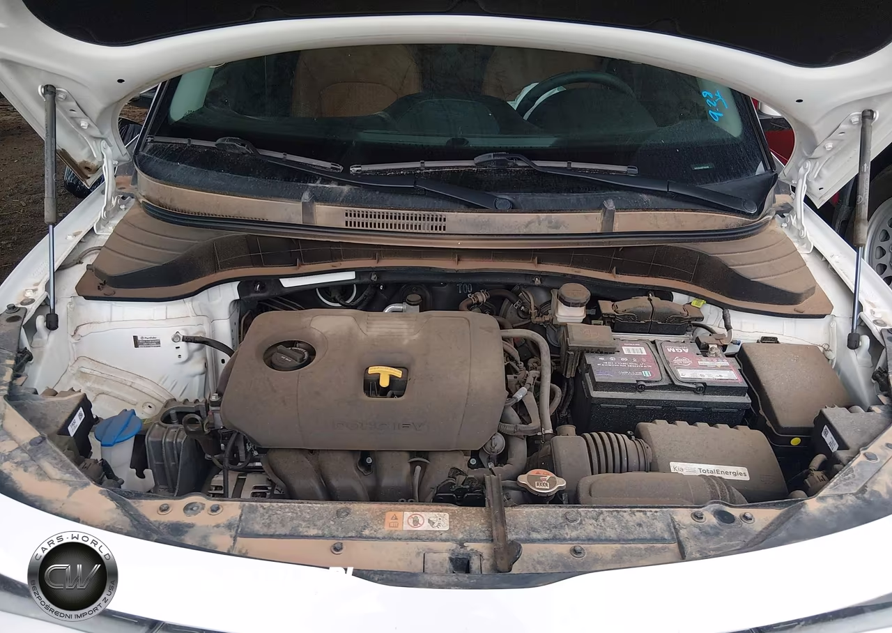 2024 Kia Soul Ex VIN:KNDJ33AU6R7906298 - 10