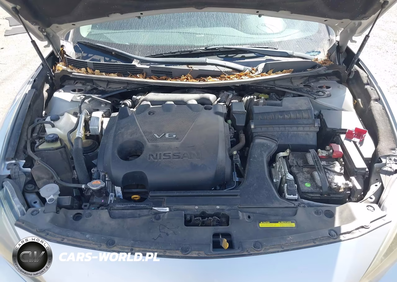 2017 Nissan Maxima 3.5 Sl VIN:1N4AA6AP0HC416341 - 10