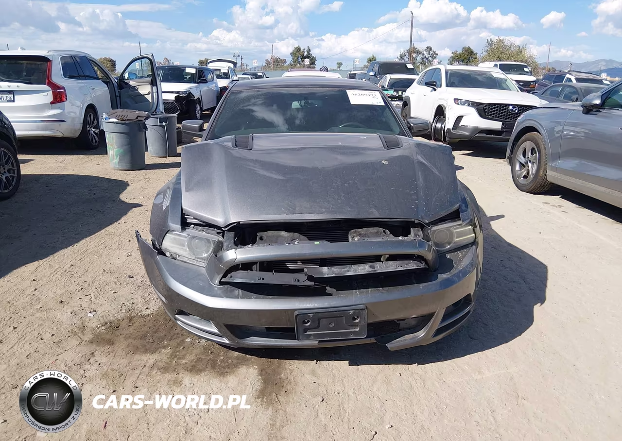 2013 Ford Mustang Gt Premium VIN:1ZVBP8CFXD5238219 - 12