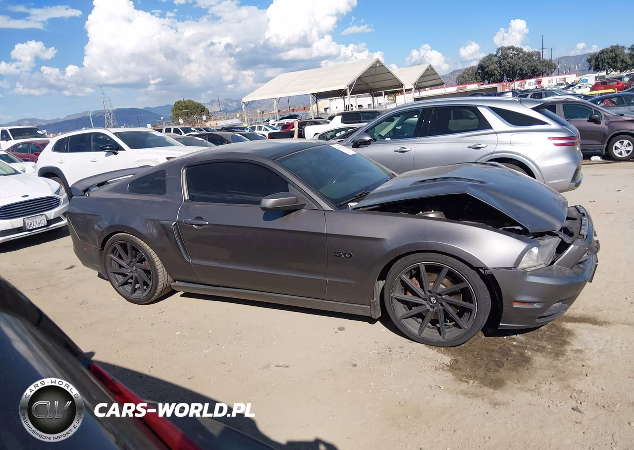 2013 Ford Mustang Gt Premium VIN:1ZVBP8CFXD5238219 - 13