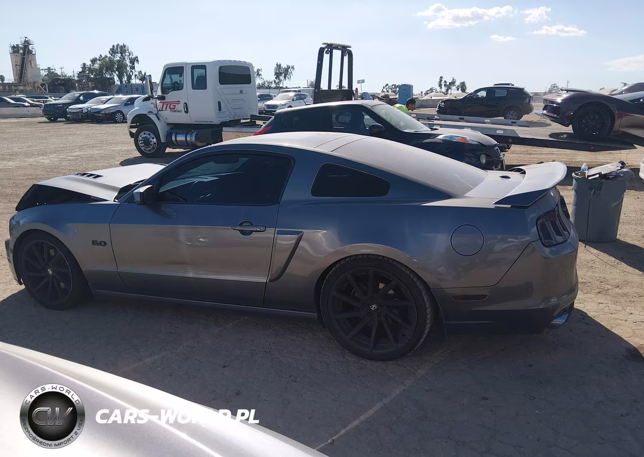 2013 Ford Mustang Gt Premium VIN:1ZVBP8CFXD5238219 - 14