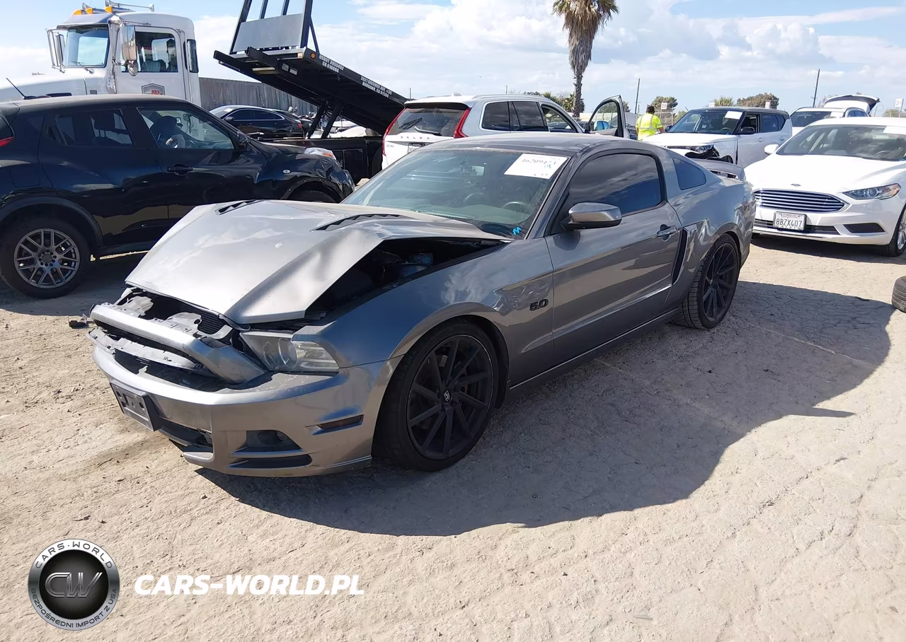 2013 Ford Mustang Gt Premium VIN:1ZVBP8CFXD5238219 - 2