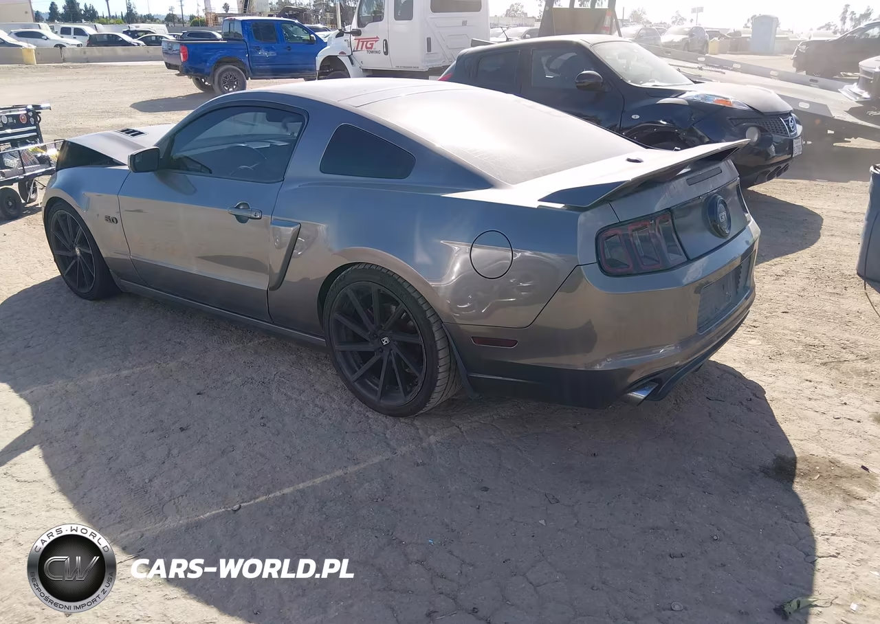 2013 Ford Mustang Gt Premium VIN:1ZVBP8CFXD5238219 - 3