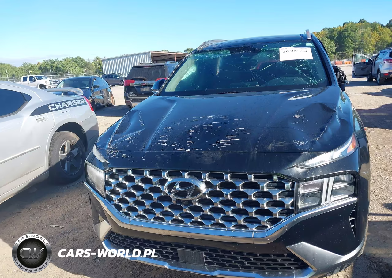 2023 Hyundai Santa Fe Sel VIN:5NMS34AJXPH651841 - 12