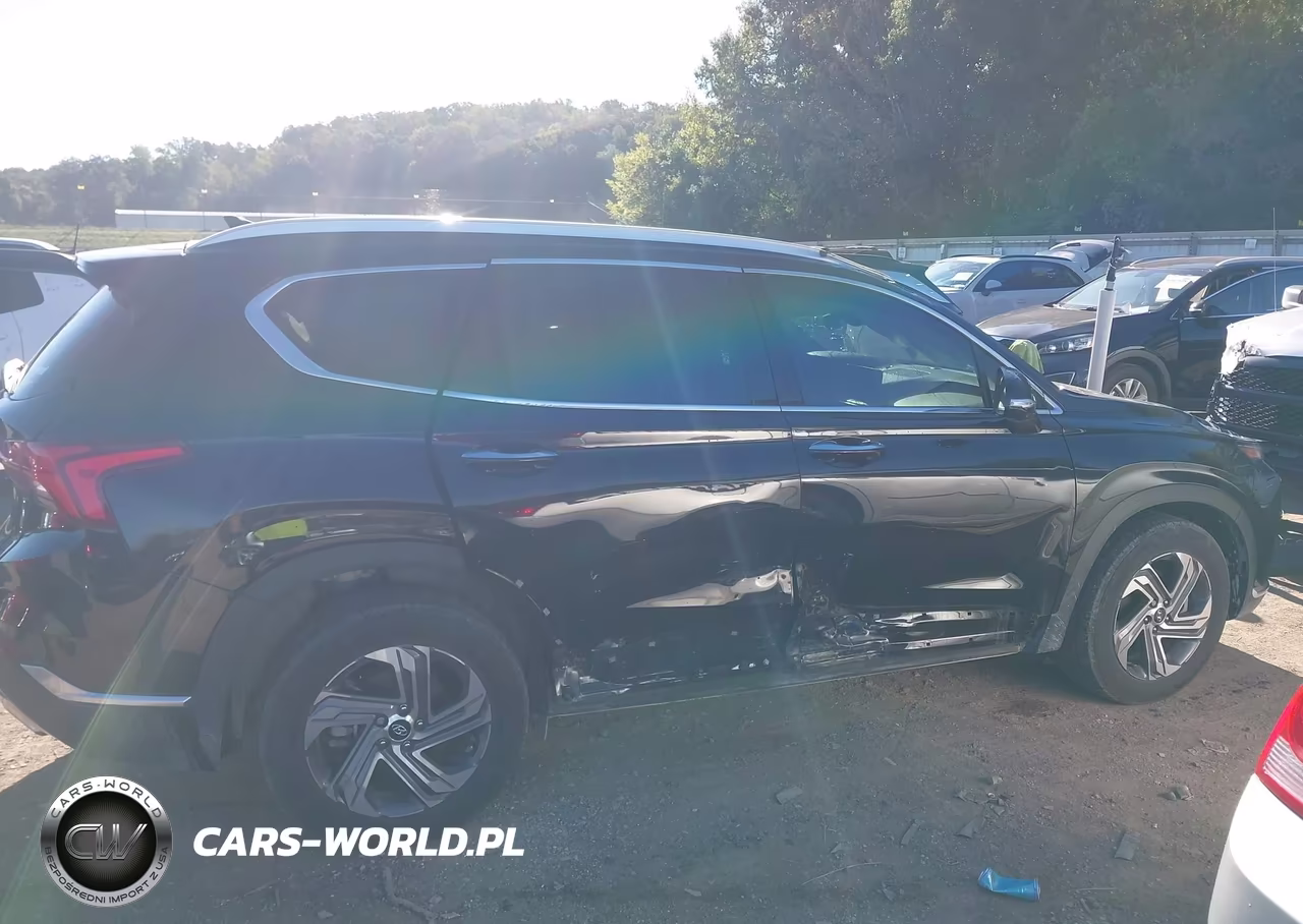 2023 Hyundai Santa Fe Sel VIN:5NMS34AJXPH651841 - 13