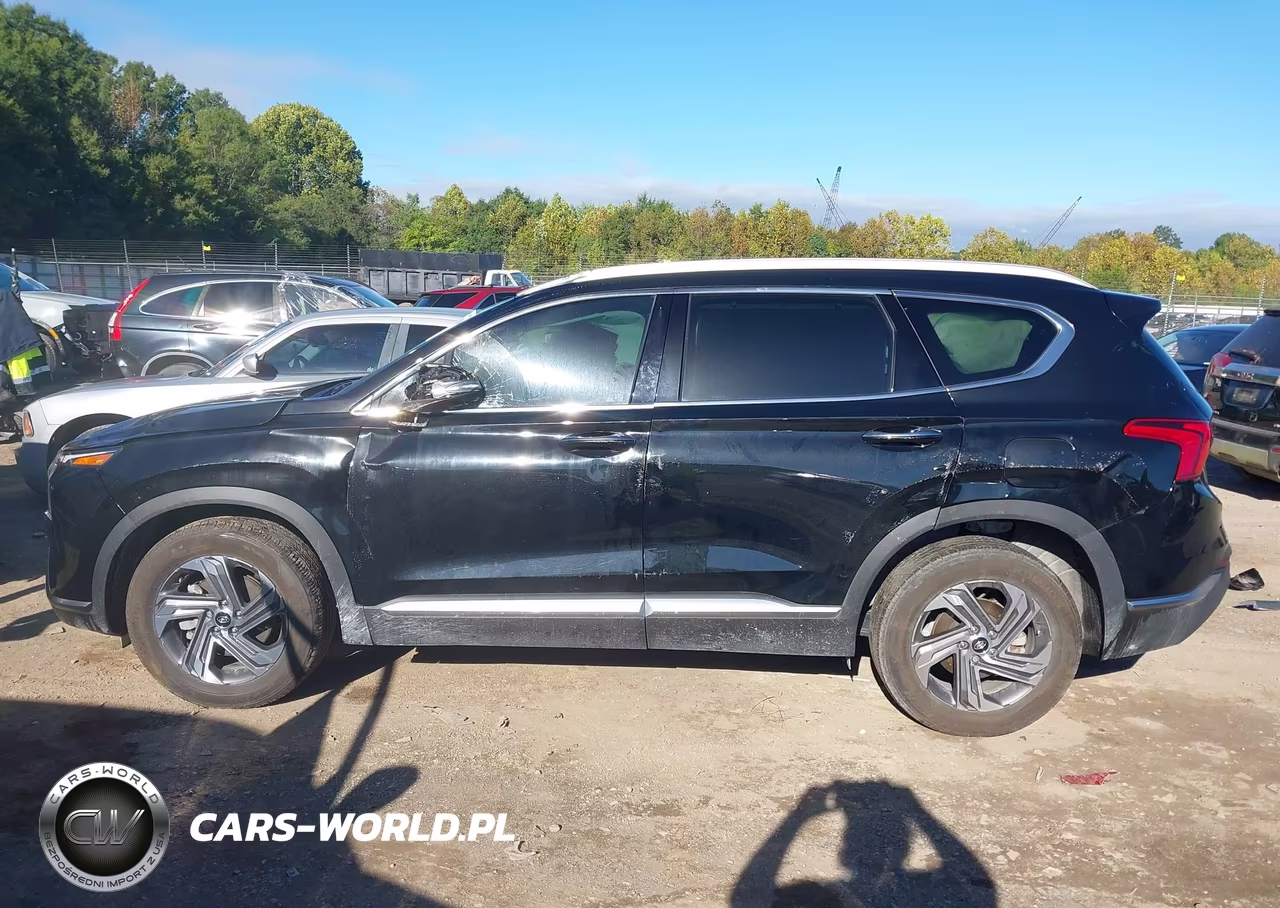 2023 Hyundai Santa Fe Sel VIN:5NMS34AJXPH651841 - 14