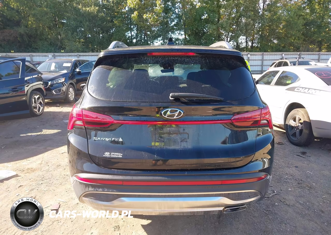 2023 Hyundai Santa Fe Sel VIN:5NMS34AJXPH651841 - 16