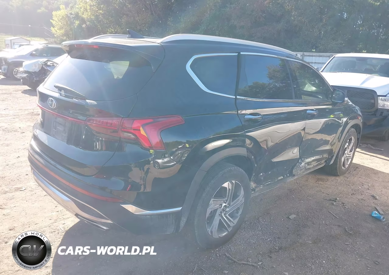 2023 Hyundai Santa Fe Sel VIN:5NMS34AJXPH651841 - 4