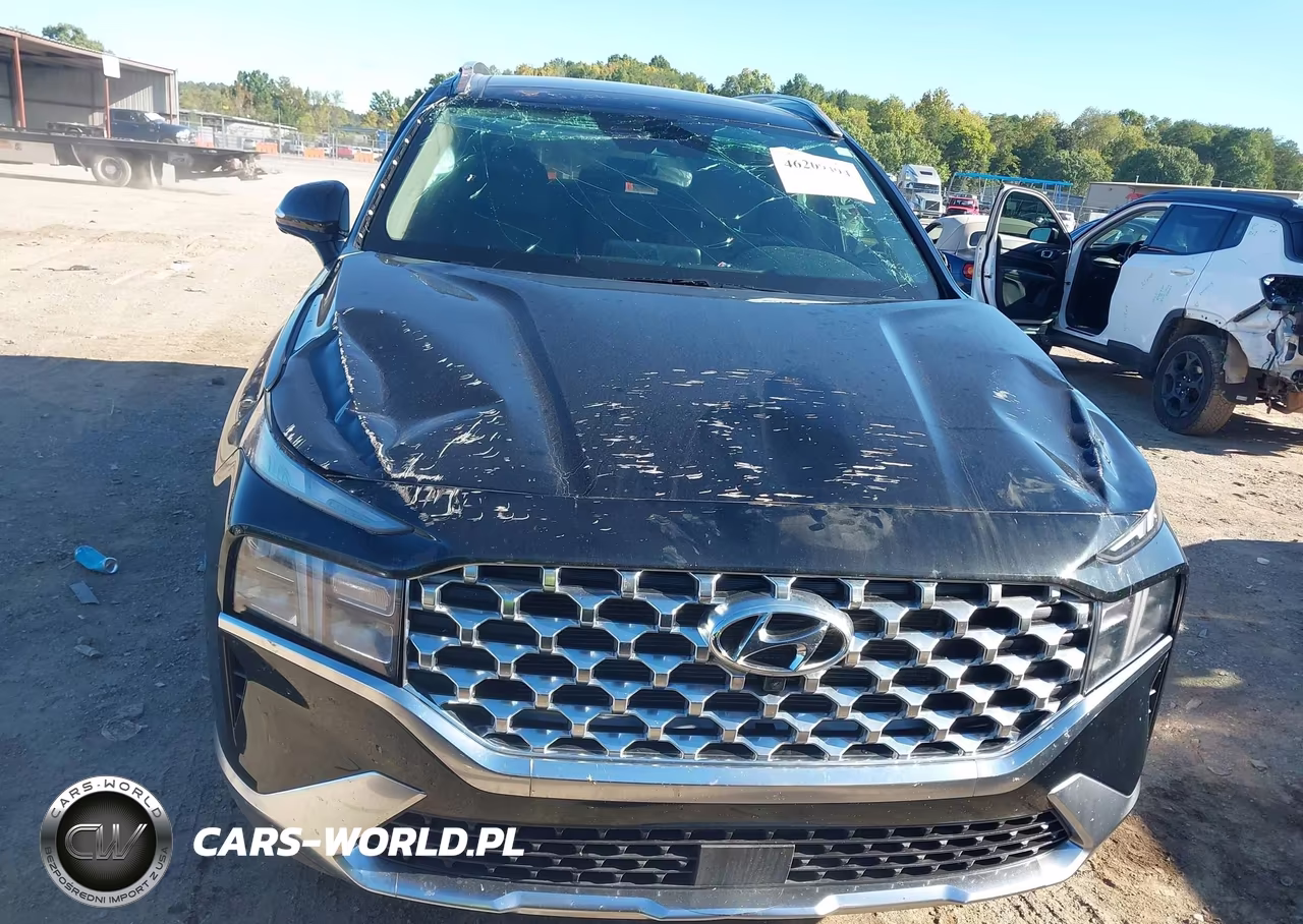2023 Hyundai Santa Fe Sel VIN:5NMS34AJXPH651841 - 6