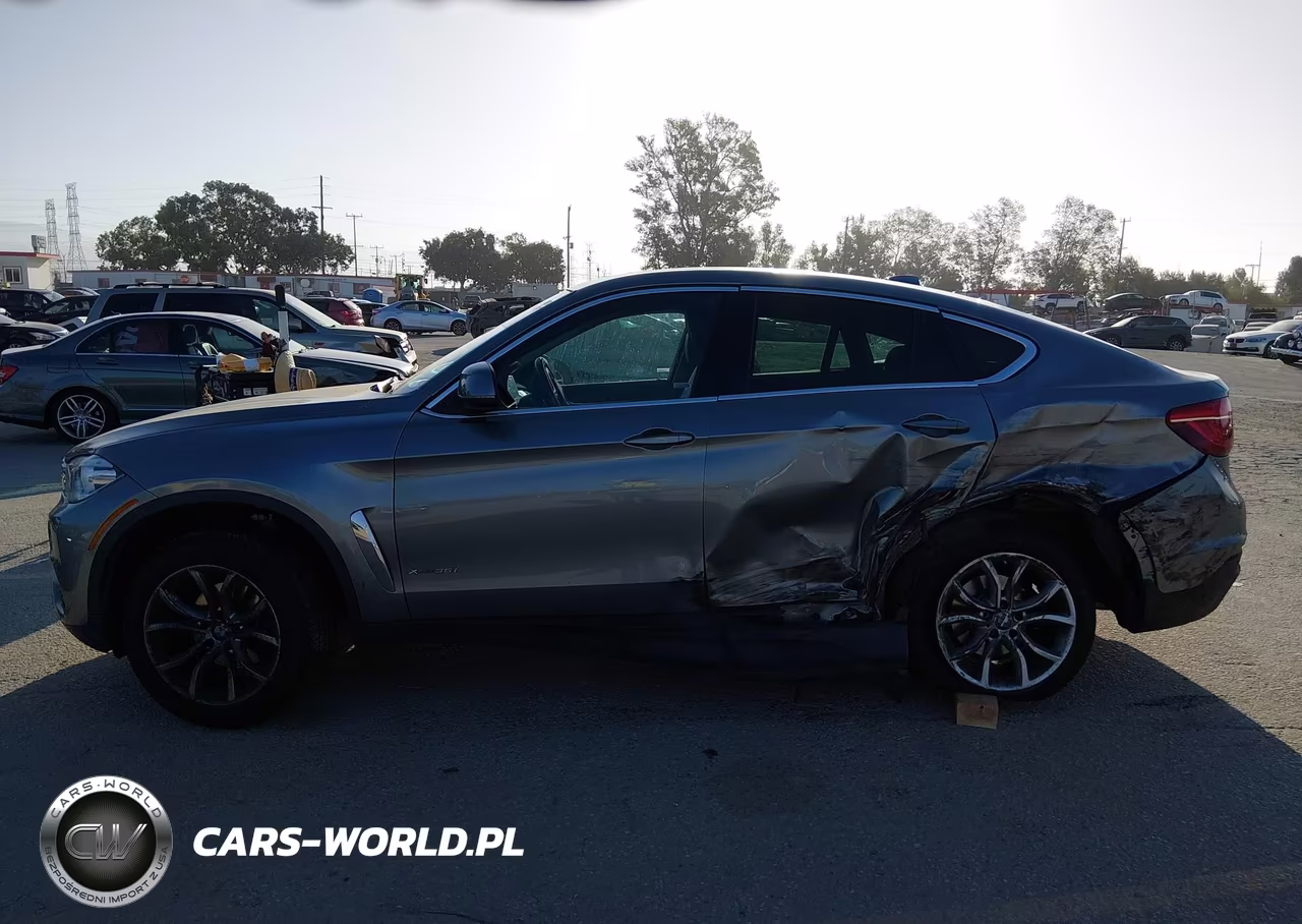 2016 BMW X6 xDrive35I VIN:5UXKU2C50G0N79161 - 17