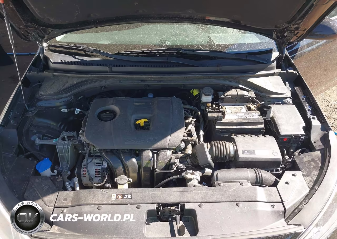 2019 Hyundai Elantra Value Edition VIN:5NPD84LF0KH418789 - 10