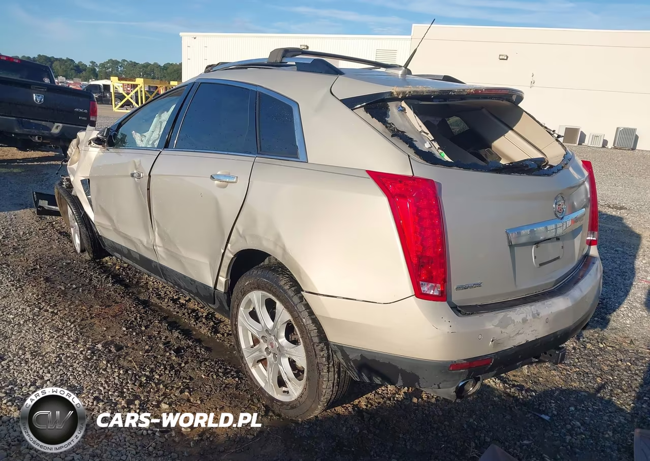 2010 Cadillac Srx Premium Collection VIN:3GYFNCEY9AS535411 - 3
