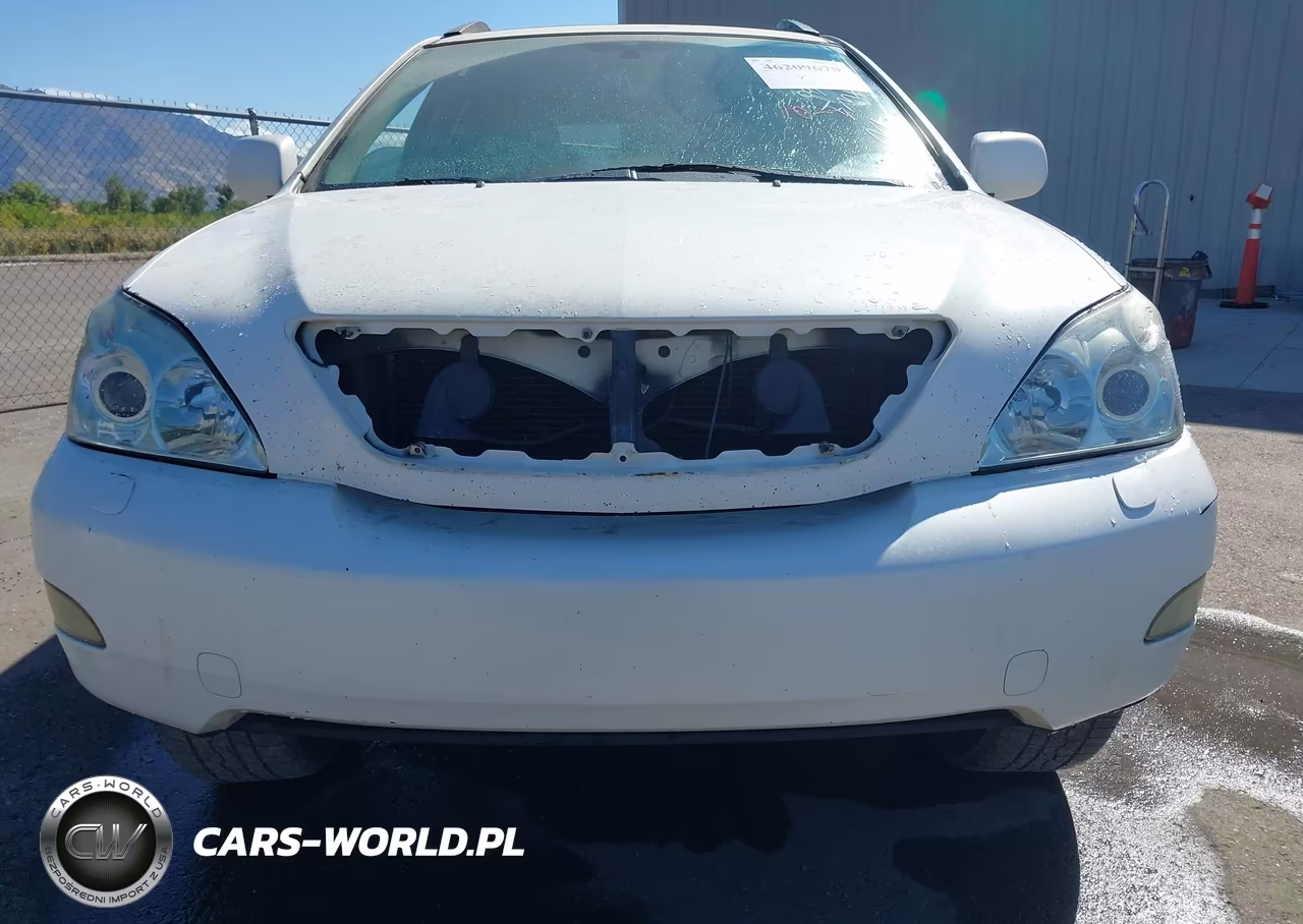 2004 Lexus Rx 330 VIN:JTJHA31UX40048143 - 6