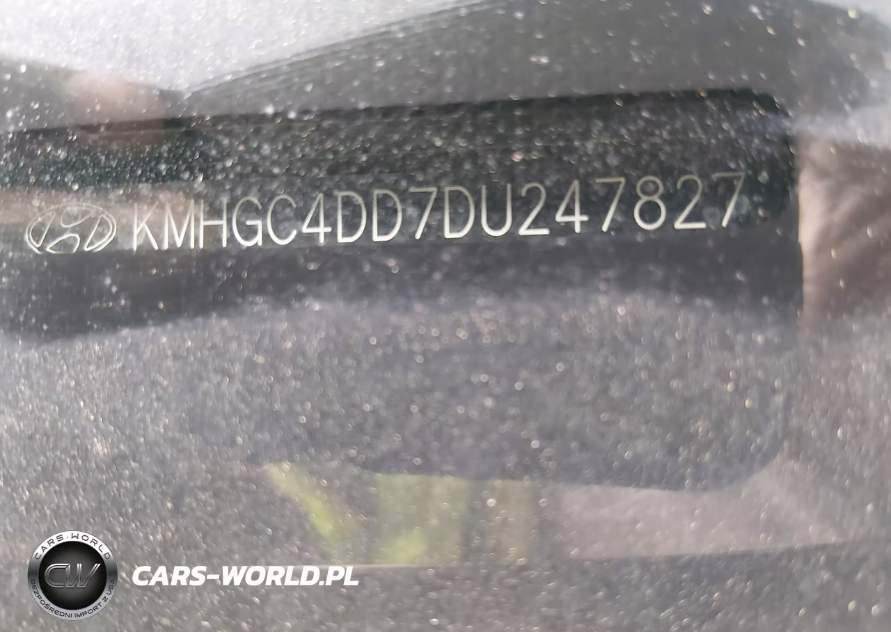 2013 Hyundai Genesis 3.8 VIN:KMHGC4DD7DU247827 - 11