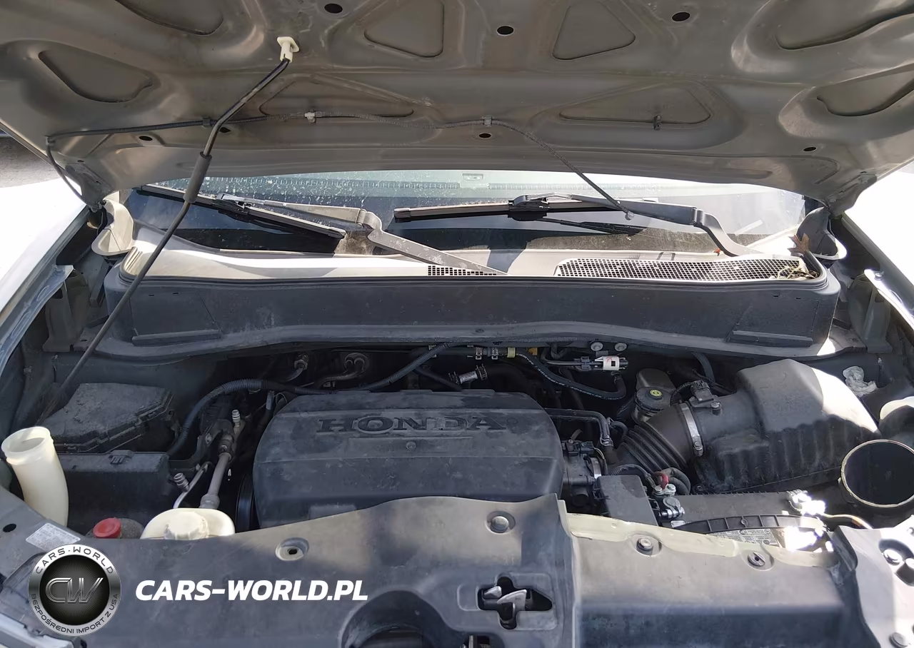 2009 Honda Pilot Lx VIN:5FNYF38209B017419 - 10