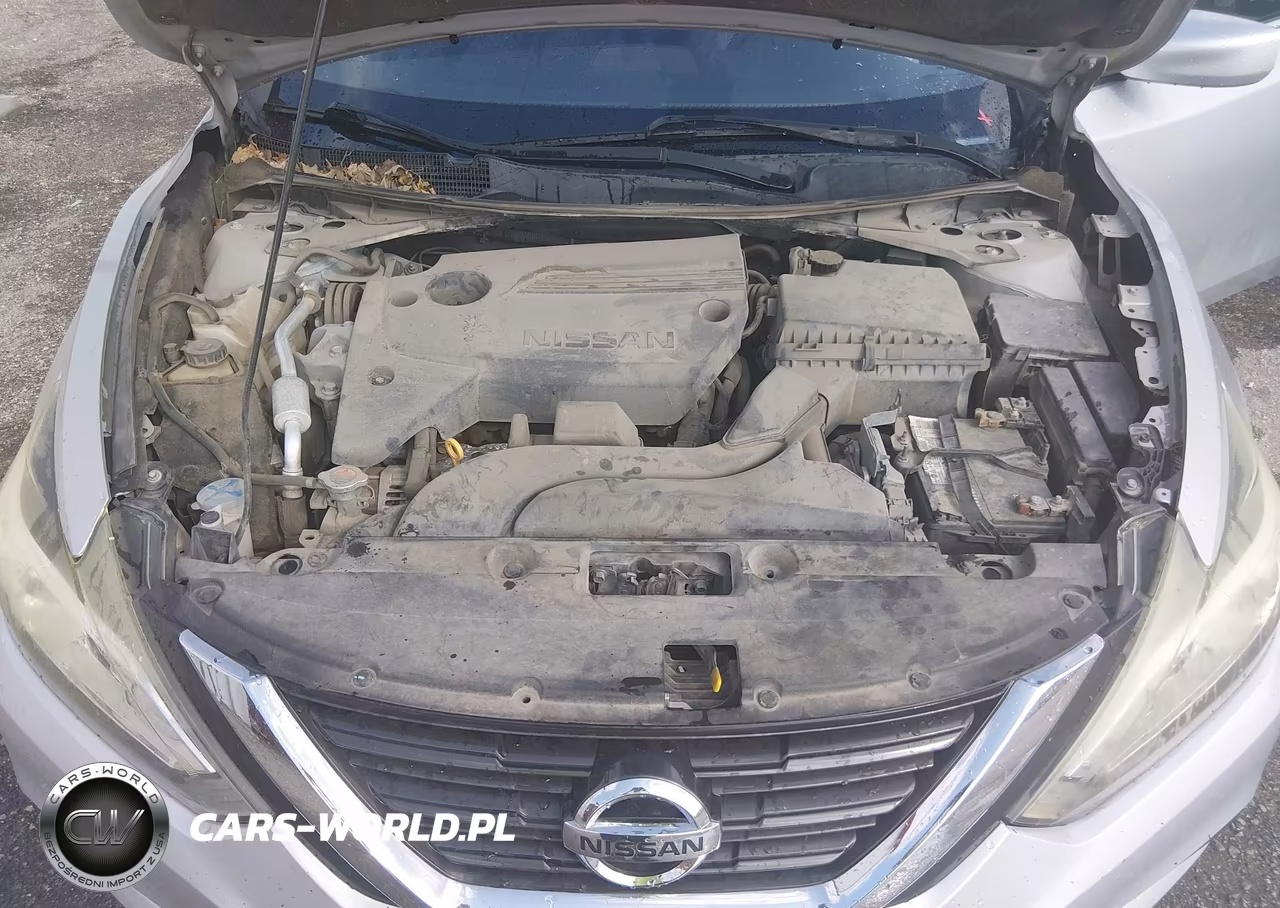2016 Nissan Altima VIN:1N4AL3AP9GC169926 - 10