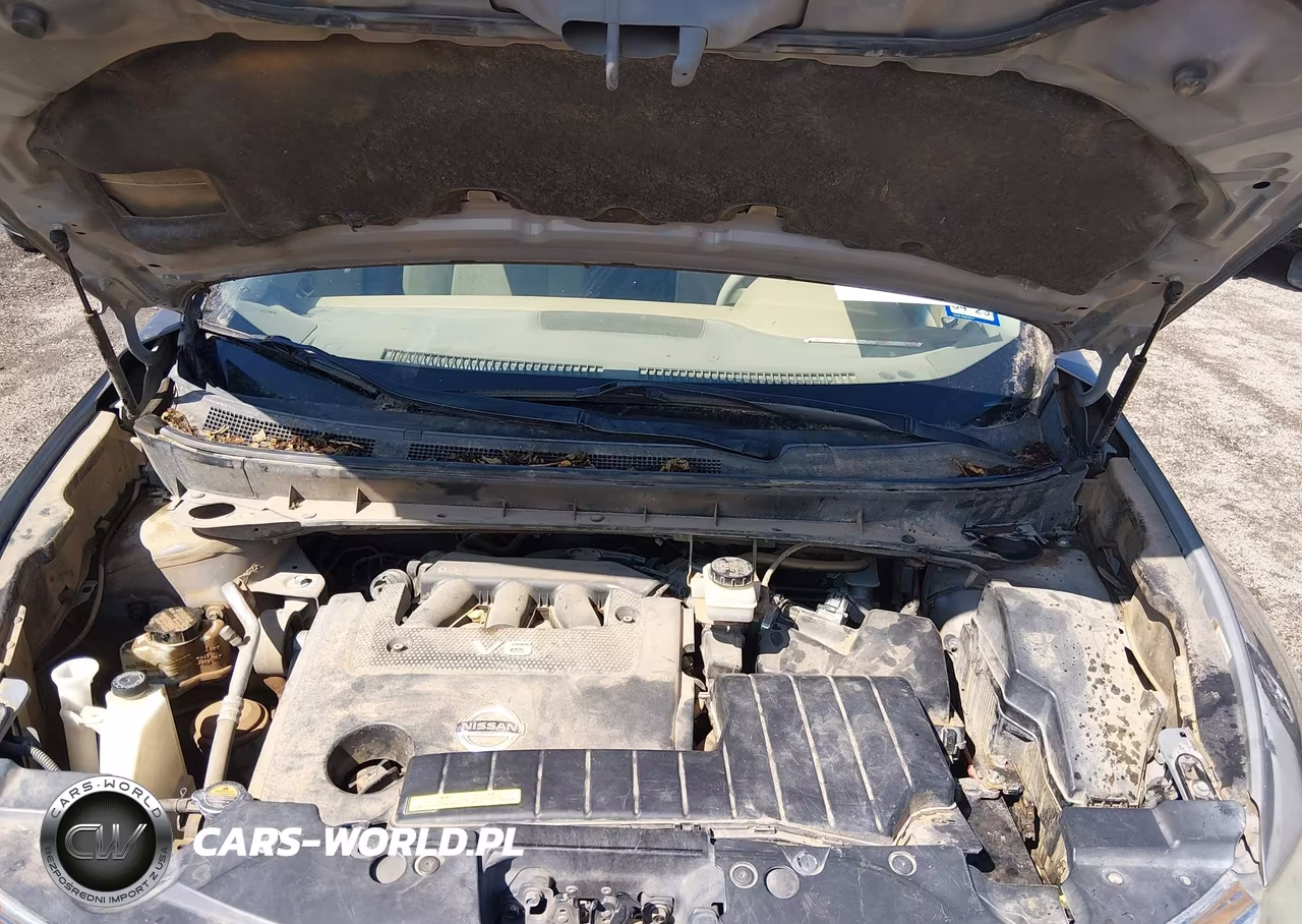 2009 Nissan Murano S VIN:JN8AZ18UX9W030628 - 10