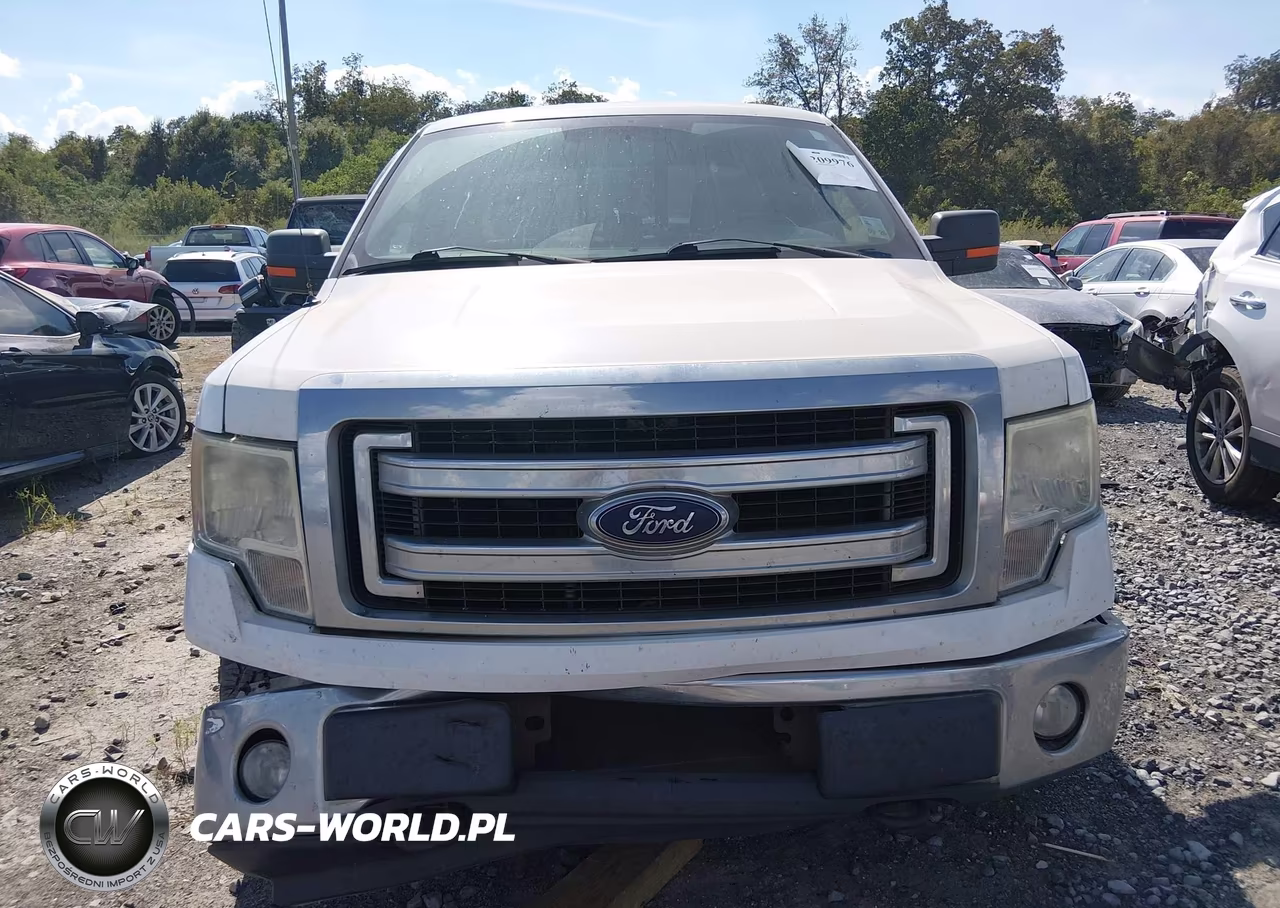 2013 Ford F-150 Xlt VIN:1FTFX1EF5DKF38342 - 12