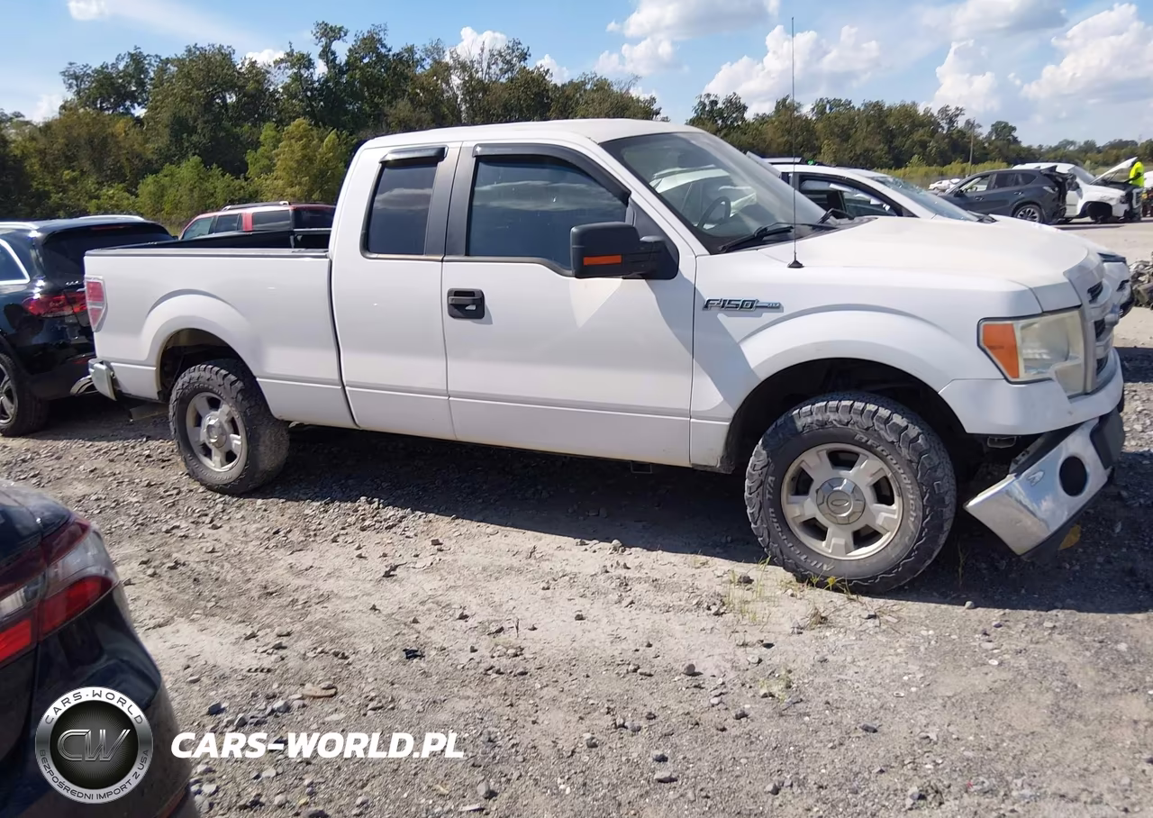 2013 Ford F-150 Xlt VIN:1FTFX1EF5DKF38342 - 13