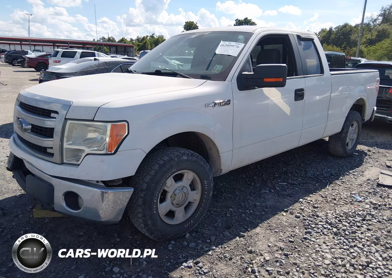 2013 Ford F-150 Xlt VIN:1FTFX1EF5DKF38342 - 2
