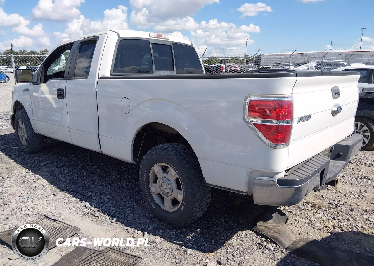 2013 Ford F-150 Xlt VIN:1FTFX1EF5DKF38342 - 3