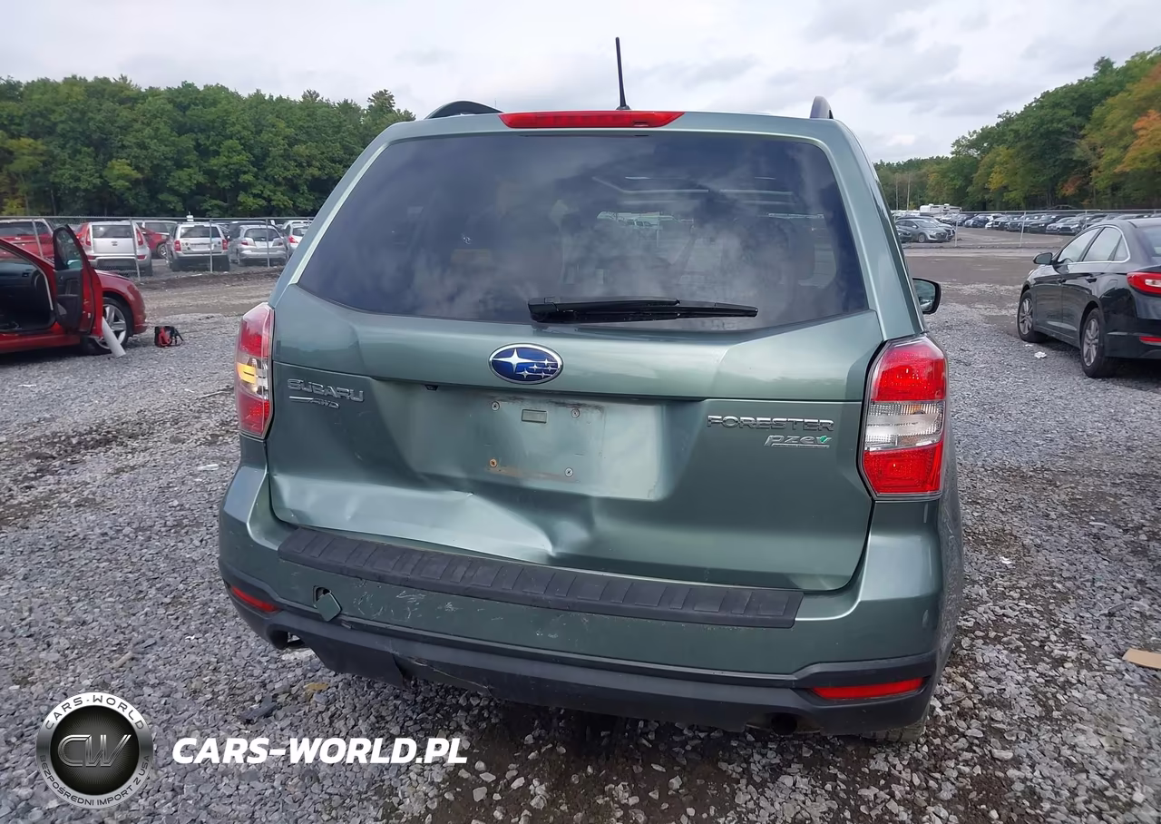 2015 Subaru Forester 2.5I Premium VIN:JF2SJADC2FH573851 - 16