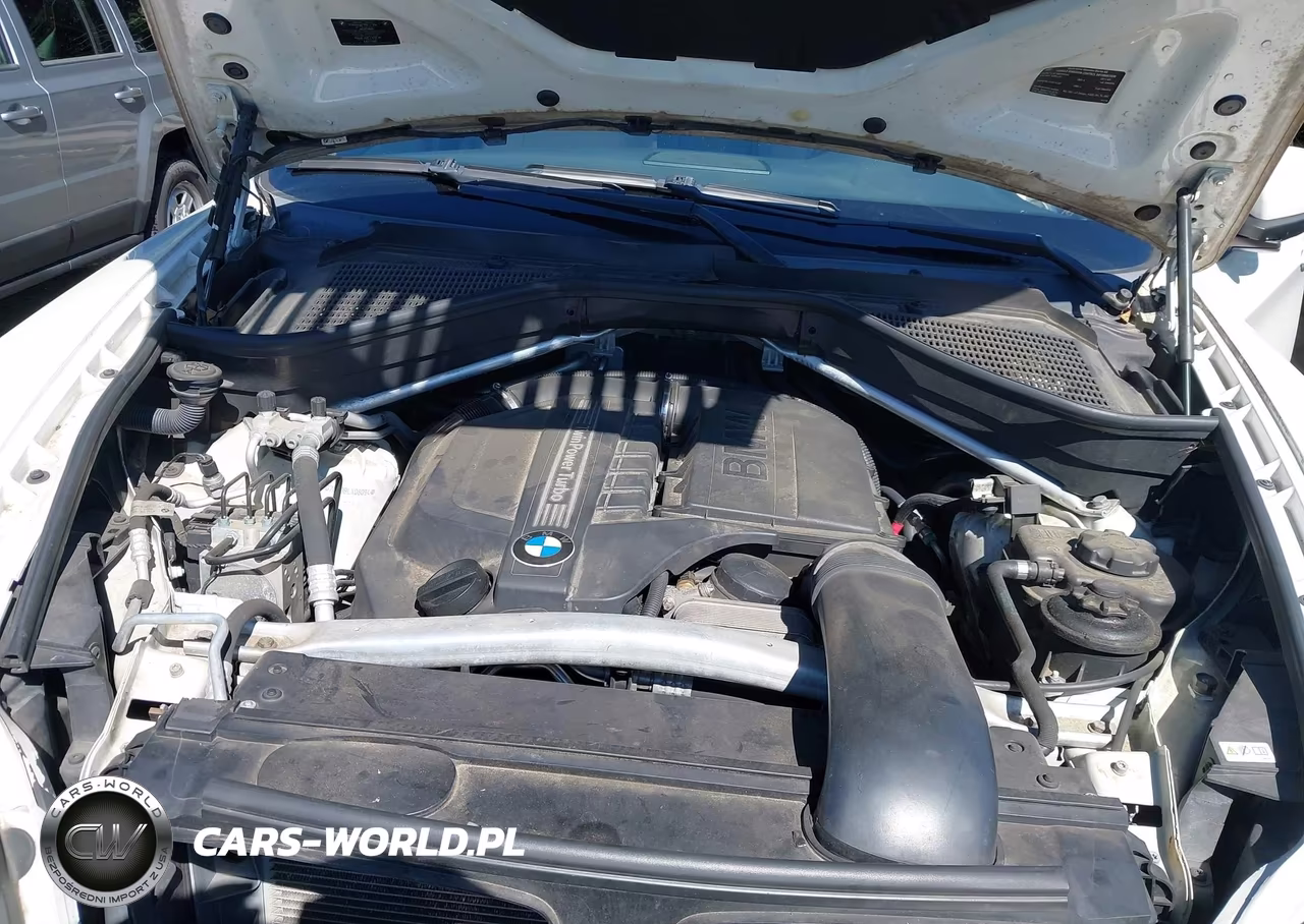 2011 BMW X6 xDrive35I VIN:5UXFG2C50BLX08094 - 10